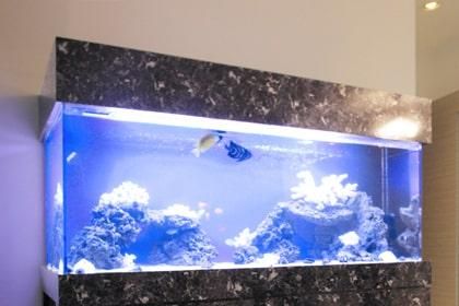 キャノピーのオーダーメイド製作｜東京アクアガーデン