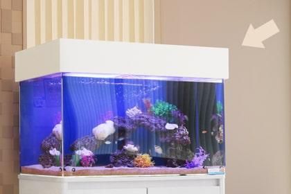 キャノピーのオーダーメイド製作｜東京アクアガーデン