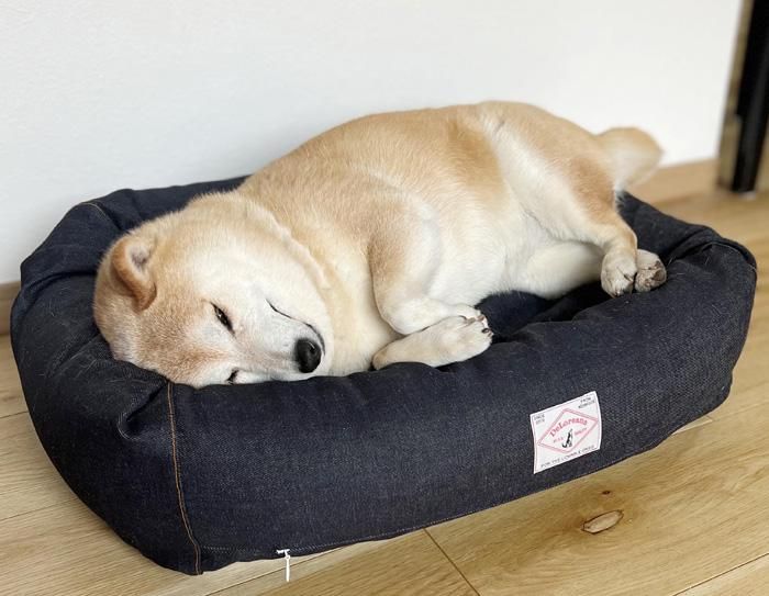 オーガニックコットン犬用ベッド デニムS｜DeLoreans