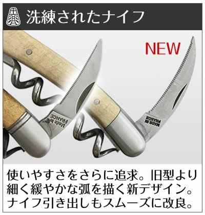 Chateau LAGUIOLE シャトーラギオール マリーアントワネット