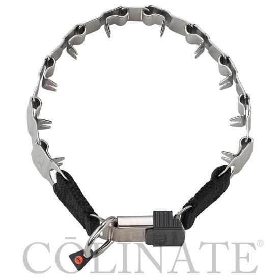 大型犬用 首輪 スパイク＞ ハイクオリティ スパイクカラー(プロング