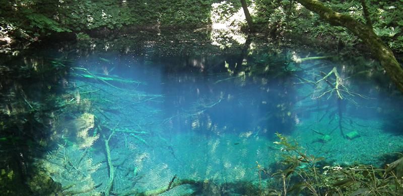 青森県/白神ガラス工房】ゆらめきグラス ショート - JapanBlueCraft