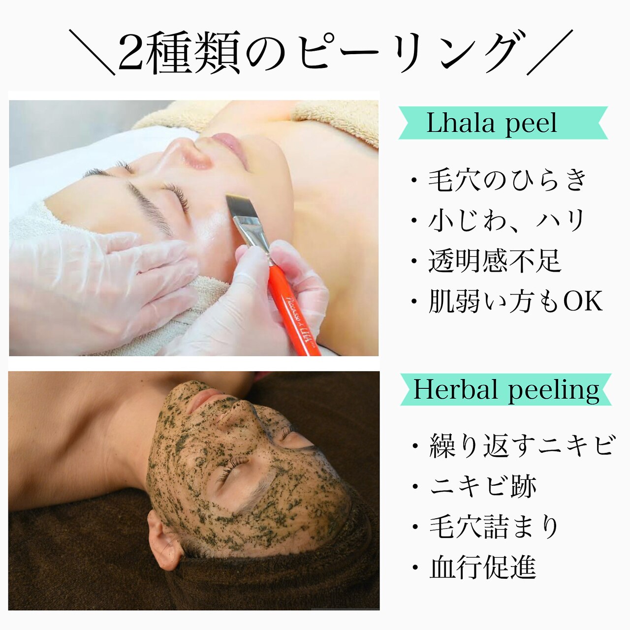 ☆ここちゃんさん専用☆サミットインターナショナル リリーホット