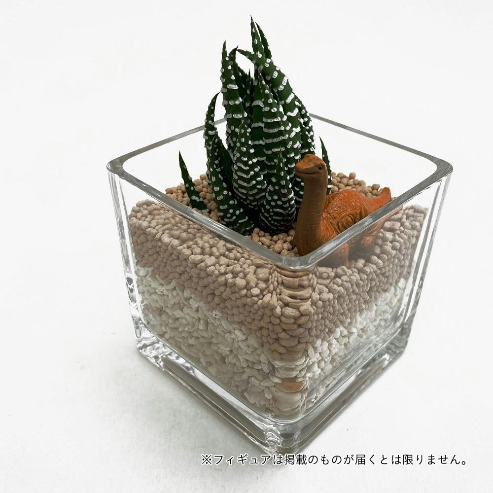 第一章フィギュアセット TNOK＋DB＋観葉植物くん 第一章フィギュア