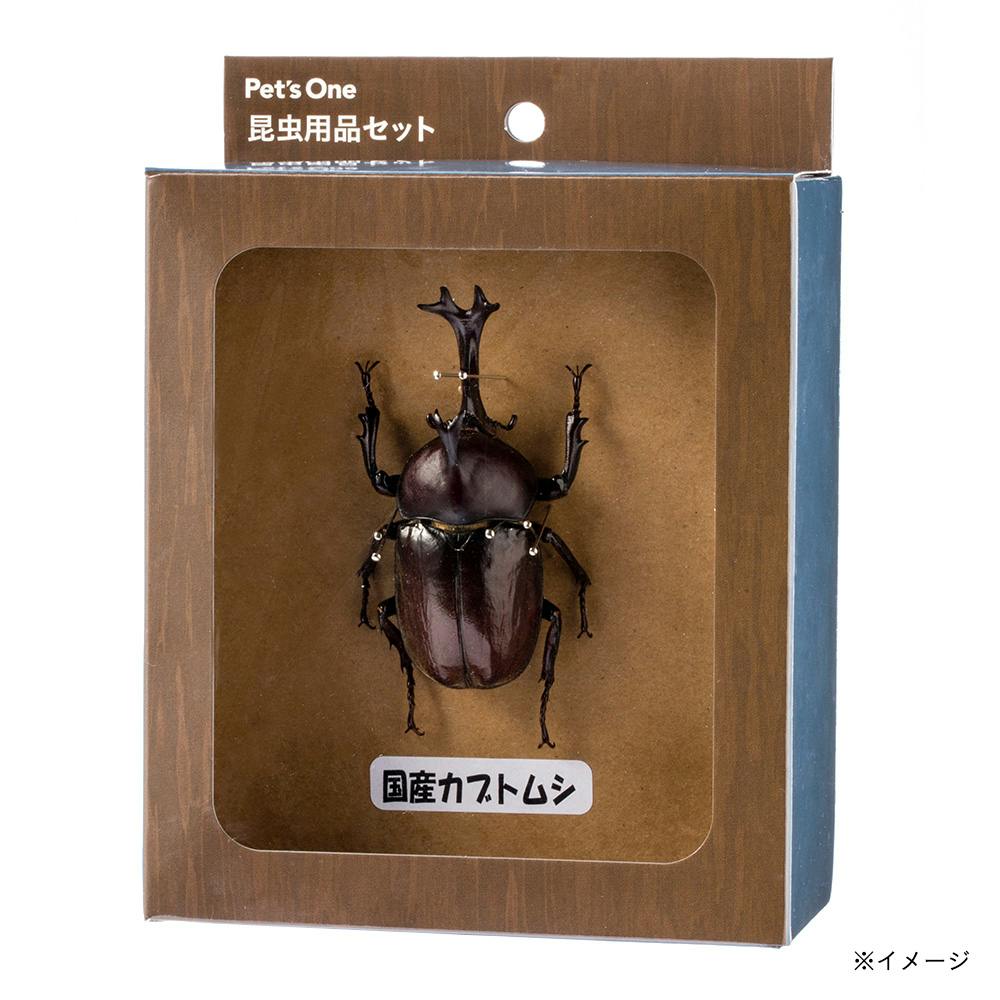Insect.happy 標本箱A2サイズ黒2セット 昆虫用品セット | 昆虫用品・昆虫