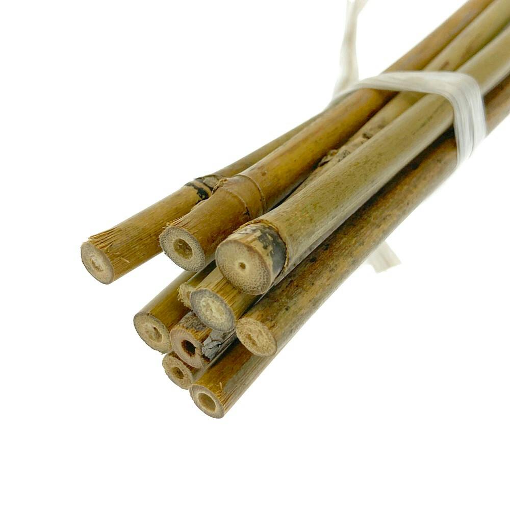 天然細竹支柱 90cm 10本 | 被覆資材 通販 | ホームセンターのカインズ