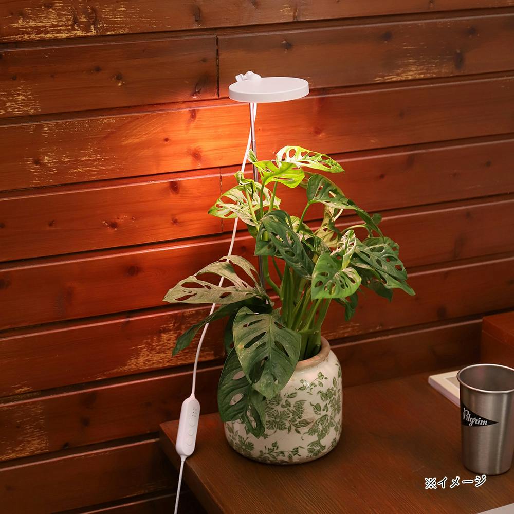 15W植物育成ライトGrowLight PAR20 6000K 3個 15W植物育成ライト