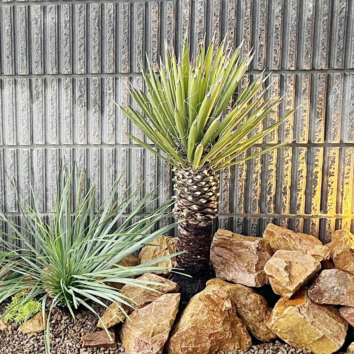 庭石 【ロックガーデン】 石 黄色 【イエロー S 220kg (22kgx10箱