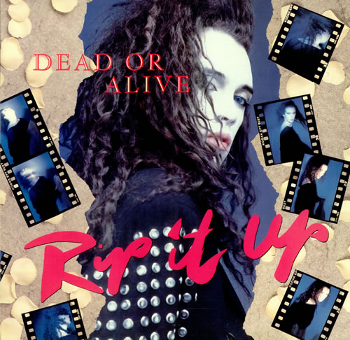 デッドオアアライブツアーパンフDEAD OR ALIVE ピート・バーンズ