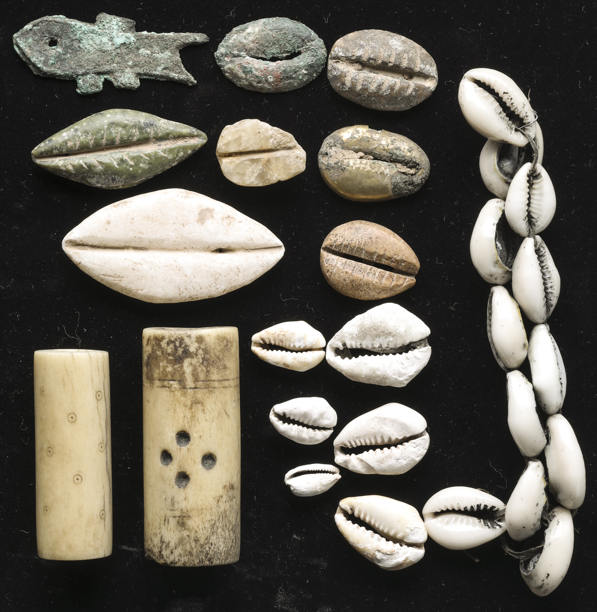 貨幣博物館 | 先秦 (XianQin) 貝貨(x25),魚貨(x1),その他不明(x2