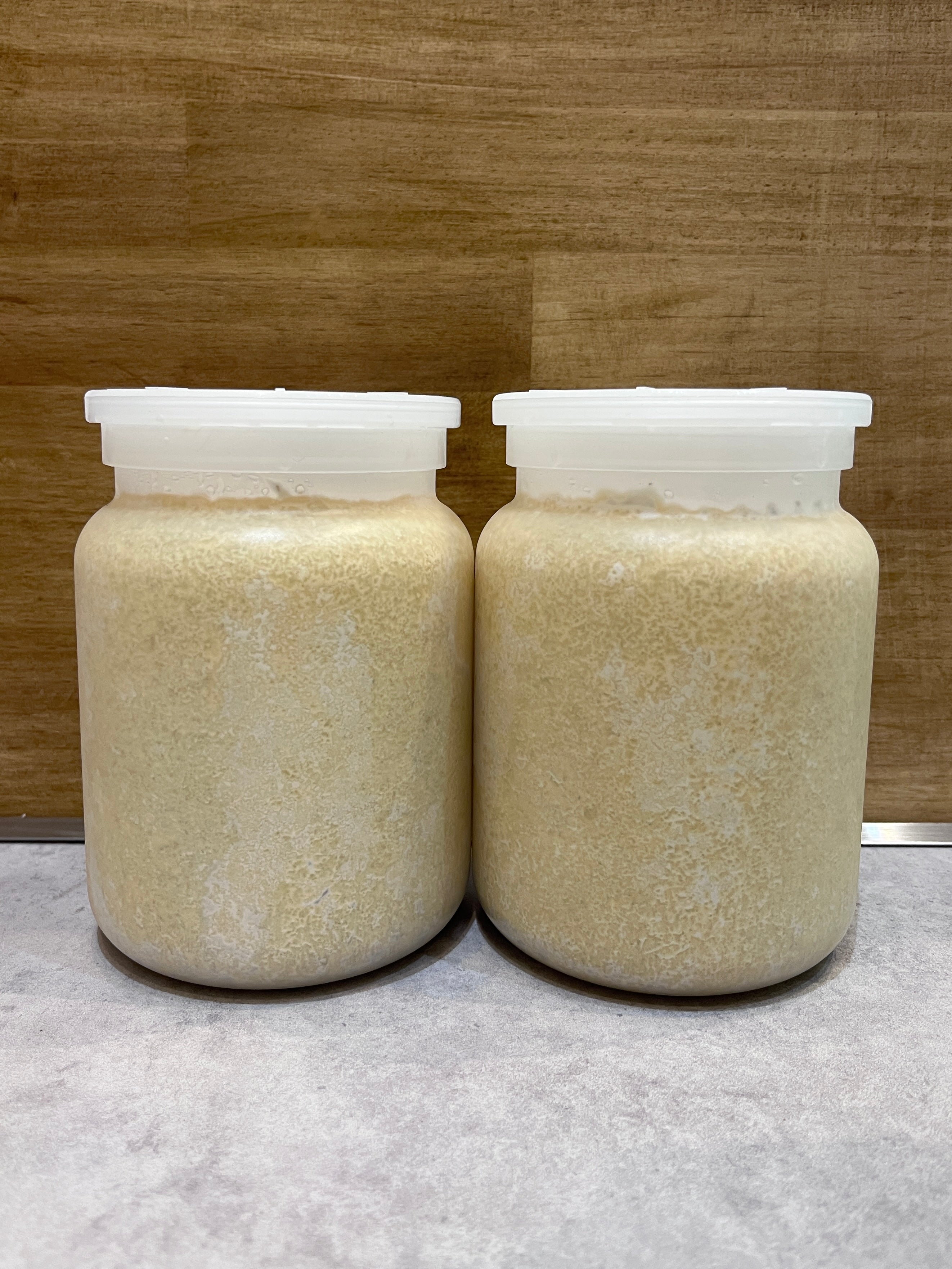 IMG_3066.jpg?v=1700640779&