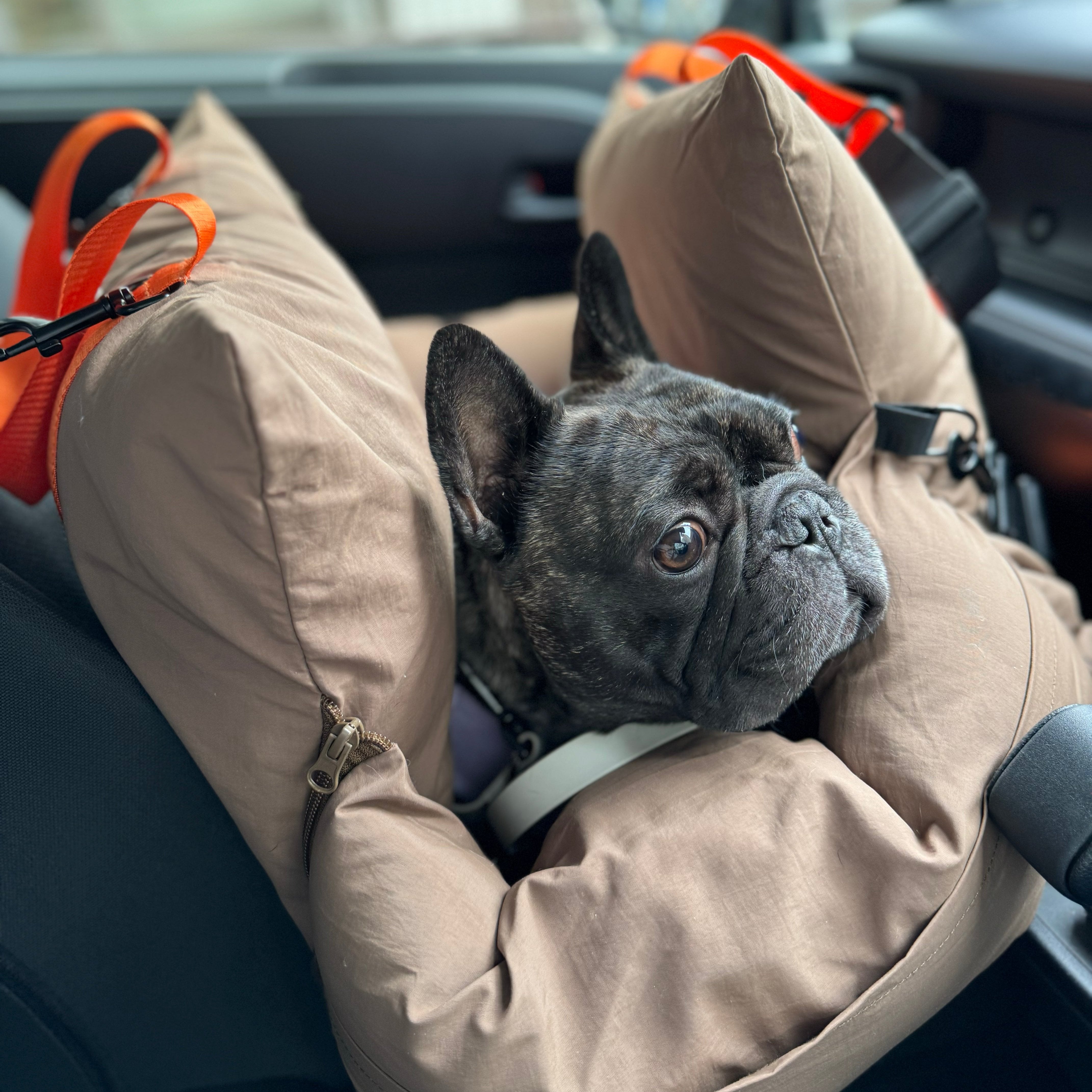 バックパックキャリー カーキグリーン / Explore Pets Backpack