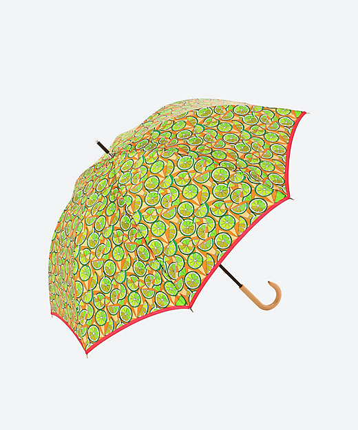 雨傘長 ライム 3336011127－1 | Dieffe Kinloch