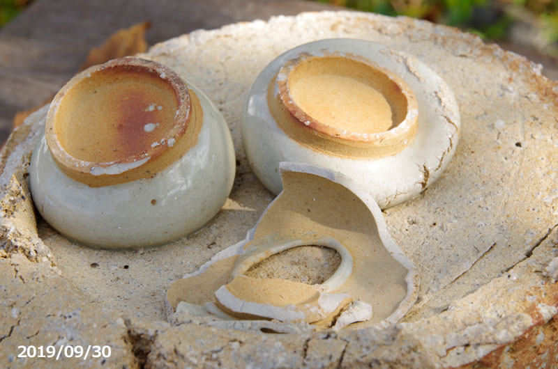 信楽焼 さや（原鉢） | 石田精華園