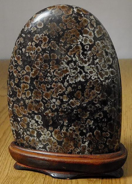 門司 梅花石 2個 門司 梅花石 2個 門司 梅花石 2個 門司梅花石