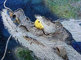 伝統工芸作家十二代藤林徳扇作 「新世紀双鶴」苑寿織 伝統工芸作家十二