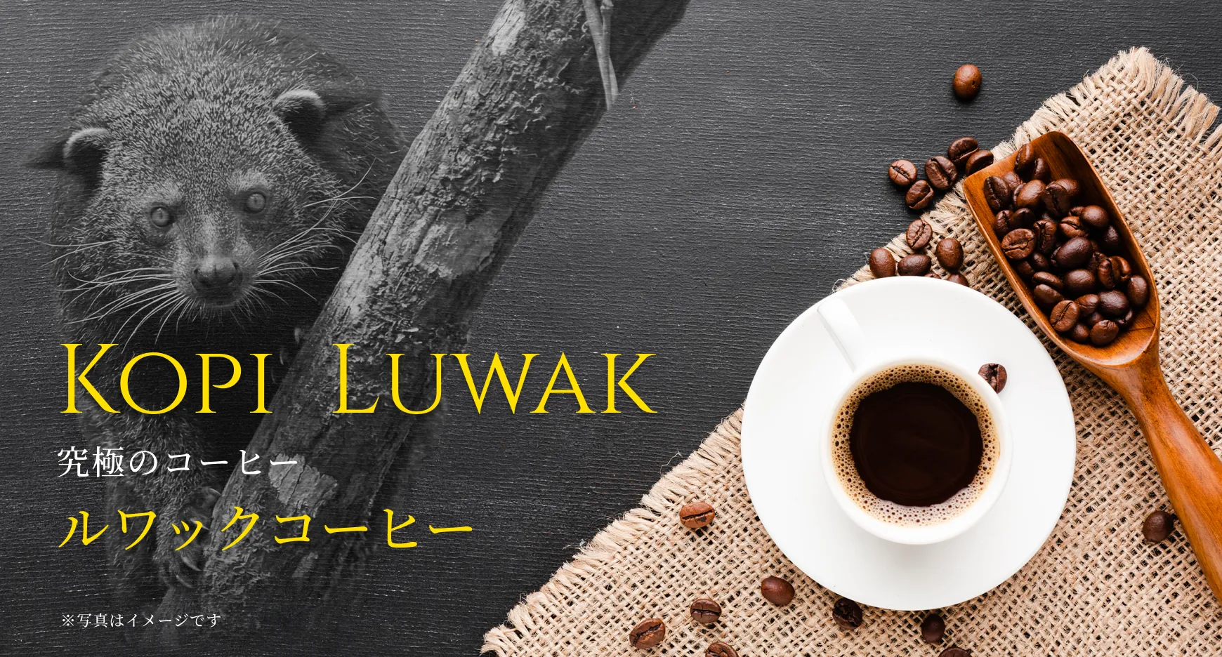 コピ・ルアク（ジャコウネココーヒー）のルワックコーヒー