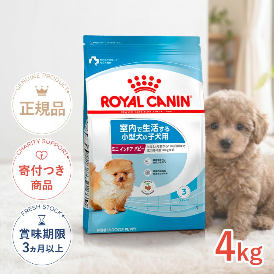 ロイヤルカナン CANIN ミニインドアアダルト 小型犬 10kg オンライン