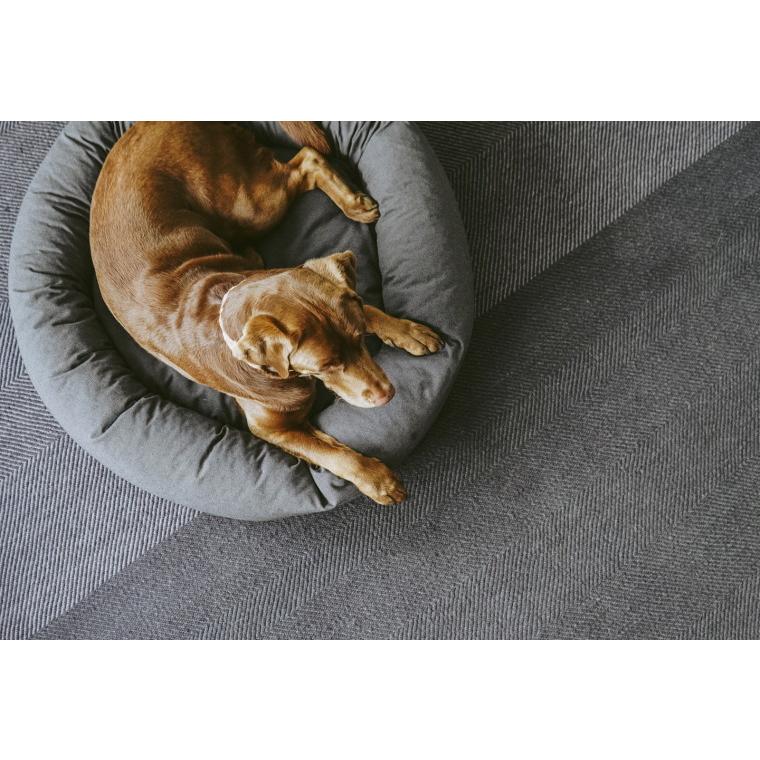 MiaCara ミアカラ ドッグサークルクッション Lサイズ MiaCara ドッグ