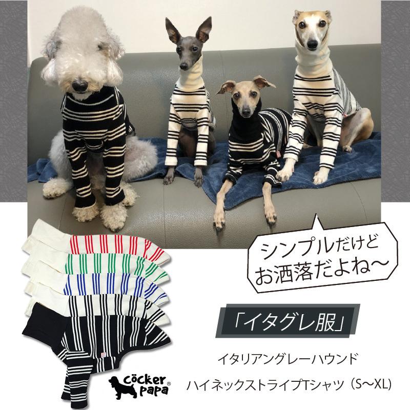 イタグレ服 ストライプTシャツ イタリアン グレーハウンド ウィペット