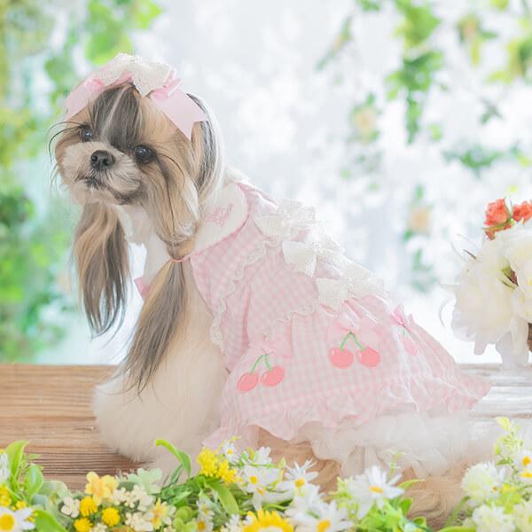 CanNana 犬 服 犬の服 春夏 さくらんぼギンガムワンピース レース