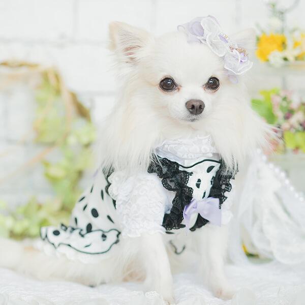 Tomorin0708)CanNana きゃんナナSMサイズ ホワイトフリース