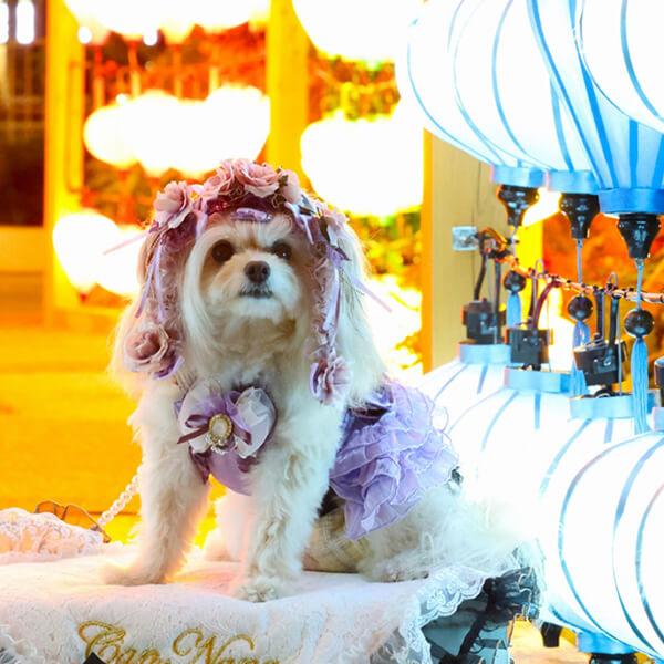 CanNana 犬 服 犬の服 秋冬 サテンドレスアップワンピース プレゼント