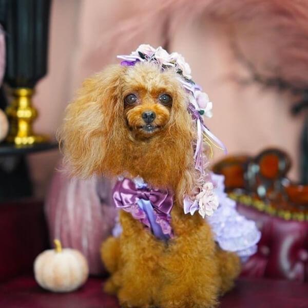 CanNana 犬 服 犬の服 秋冬 サテンドレスアップワンピース プレゼント