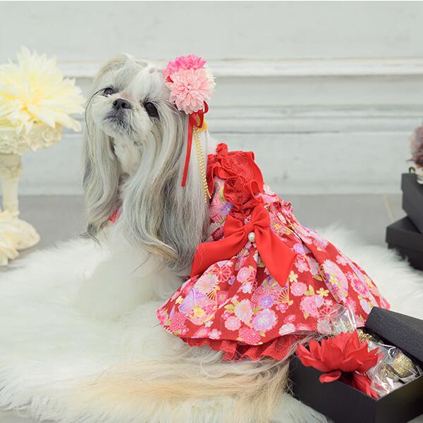 CanNana 犬 犬服 ドックウェア ワンピース フリフリ 通年 春 ロリータ