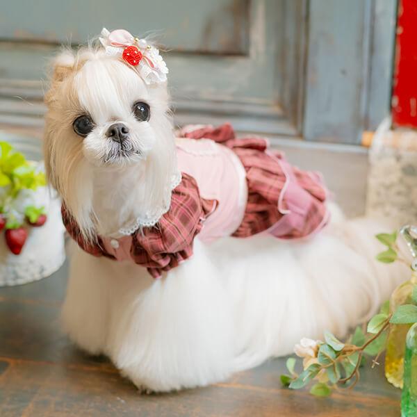 CanNana 犬 犬服 春 レトロいちごタータンチェックワンピース チュール