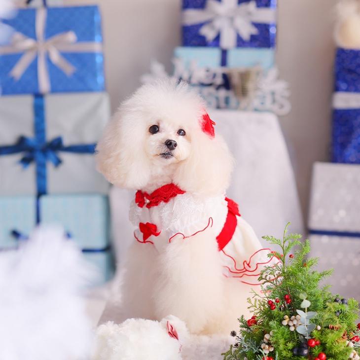 CanNana 犬 服 犬服 ワンピース フリル ドレス レース リボン お出かけ