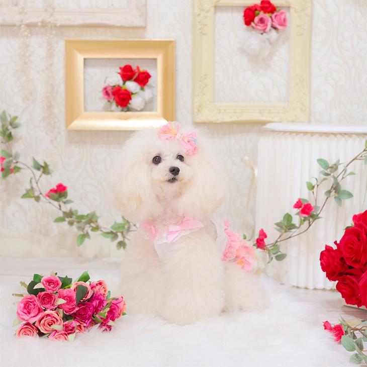 犬服ハンドメイド＊Pink*花ꕤ花ワンピ
