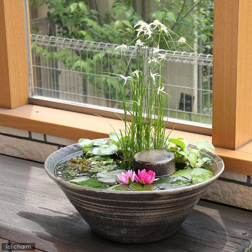 陶器メダカ鉢・花鉢・火鉢（115）