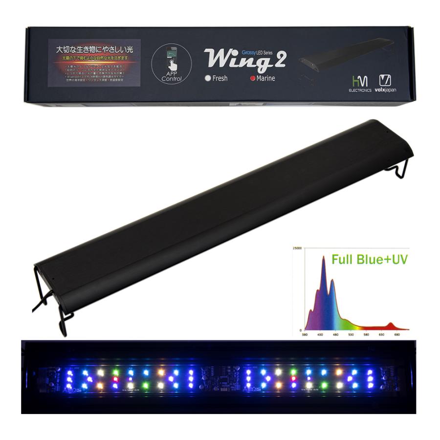 volxjapan GrassyLegna Marine 60