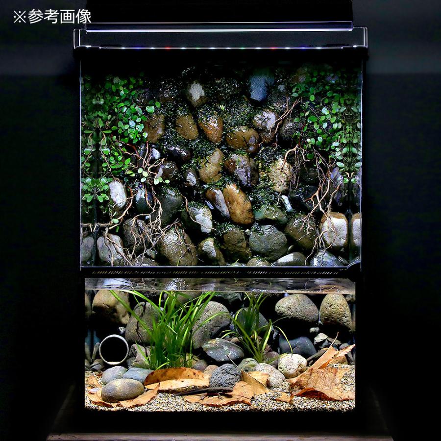 Leaf Corp 爬虫類ケージ テラスペース 45x45x60cm 穴2つ