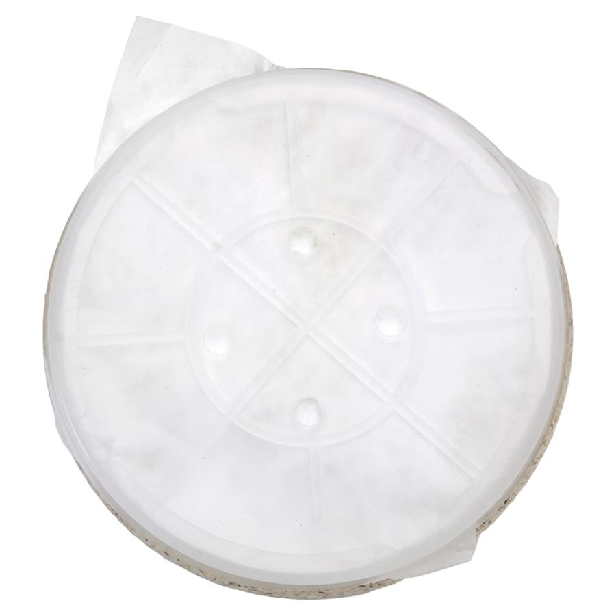 菌糸ビン MIKUプレミアム菌糸ボトル オオヒラタケ 1400cc