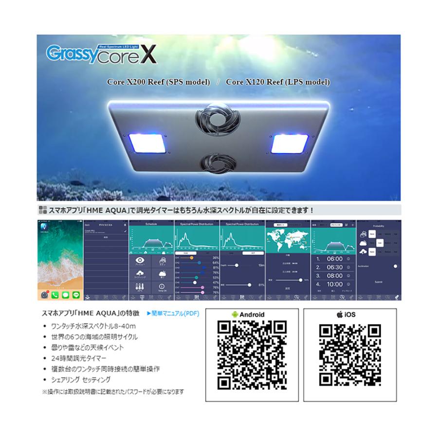 volxjapan（ボルクスジャパン） Grassy Core X120