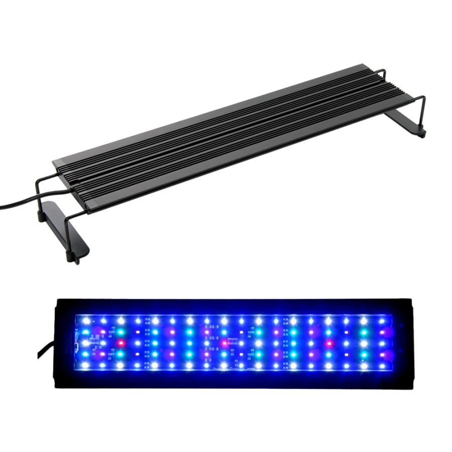 volxjapan（ボルクスジャパン） Grassy Legna Marine