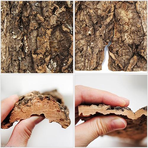 コルク樹皮4本セット1202-4L+ M SP-1130-5 S5本セット 楽天市場