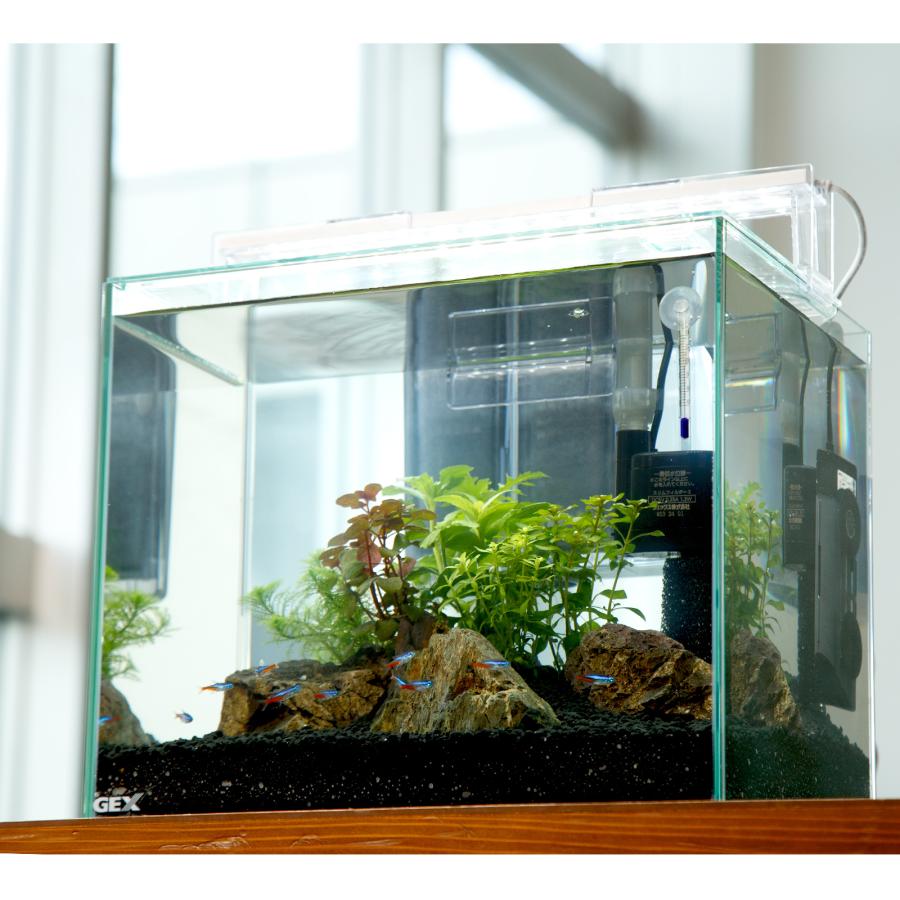 熱帯魚）（水草）飼育セット GEX ガラス水槽 グラステリア