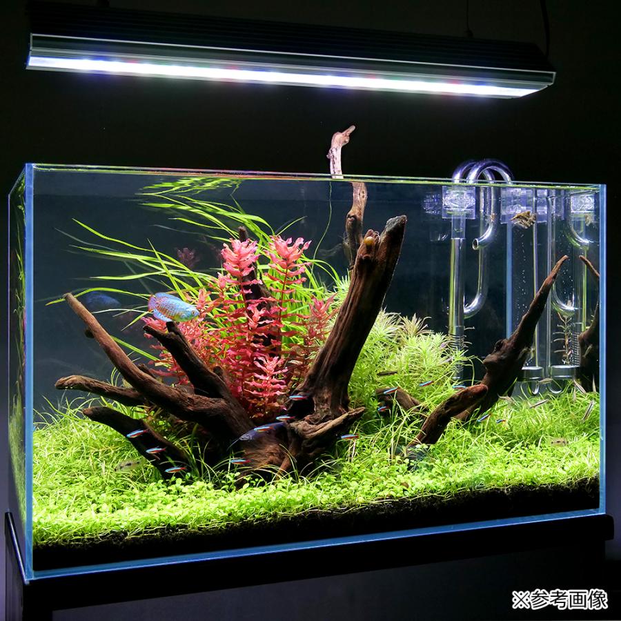 アクロ TRIANGLE LED GROW Pro 600 8900lm