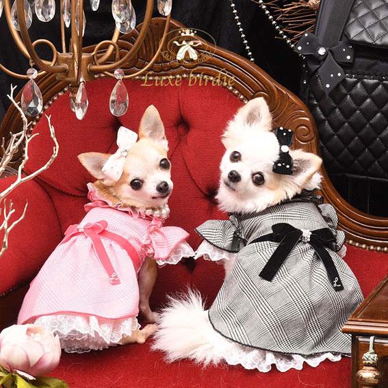 リュクスバーディワンピース 【公式通販】