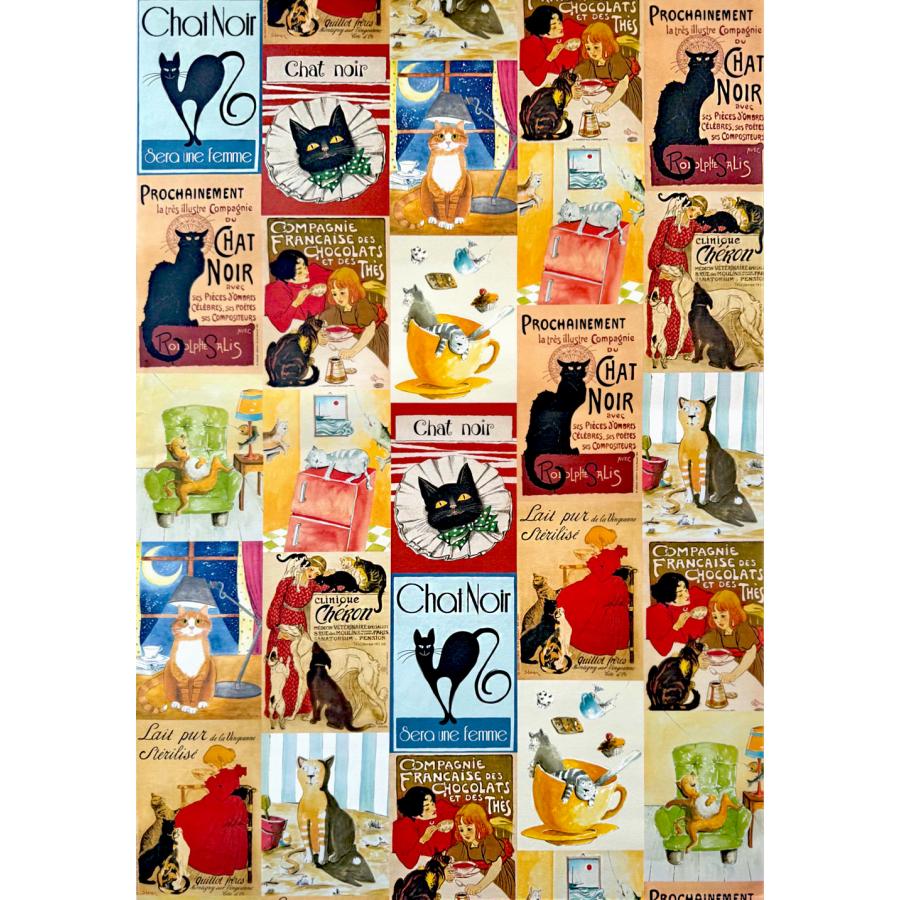 ポスター イタリア 黒猫 I.F.I 50×70 GATTI CR060 猫 インテリア