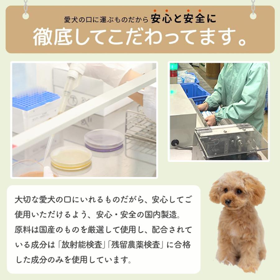 ドクターワンデルプラス 30g : ドッグサポートアエコム - 通販 - Yahoo