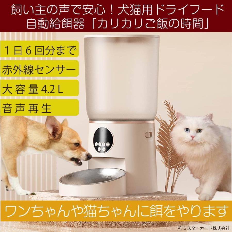 miraiON（ミライオン） 1日6回 時間と量 決められる 猫 犬 ペット 自動