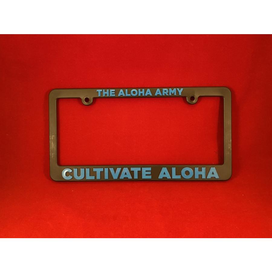 in4mation ライセンスプレートフレーム インフォメーション ALOHA 青