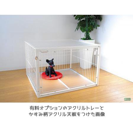 扉がアクリル ケージ W90×D90×H60cm 小型犬〜中型犬用 ROOMY 6Mワイド