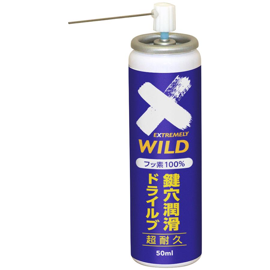エーゼット (送料無料)AZ DKL-001 鍵穴潤滑 ドライルブスプレー 50ml
