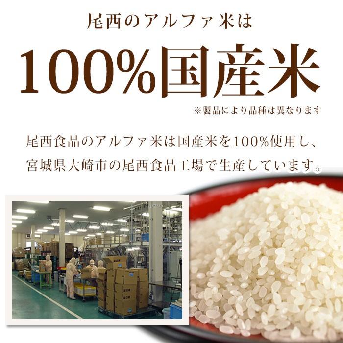尾西食品 非常食 アルファ米 ドライカレー 100g 50袋入 箱売り 防災