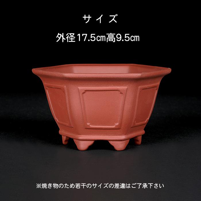 紀山 盆栽鉢 懸崖鉢 盆栽鉢 紫泥外縁額面正方鉢 朱泥